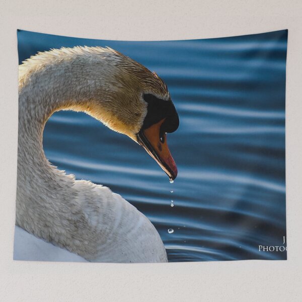Item preview, The morning swan designed and sold by photobyjr.