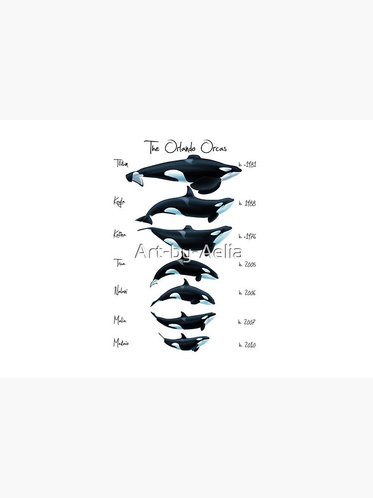 The Orlando Lineup 2014 by Art-by-Aelia