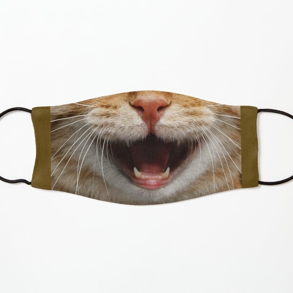 Cat Mouth Kids Masks Redbubble - tabby cat roblox