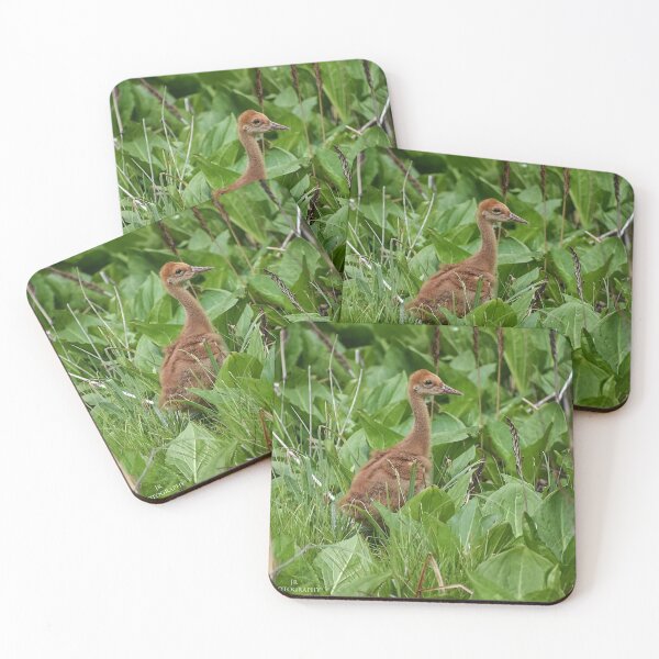 Item preview, Baby Sand Hill Crane designed and sold by photobyjr.