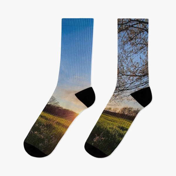 Item preview, The Field in the light of the sunset designed and sold by photobyjr.