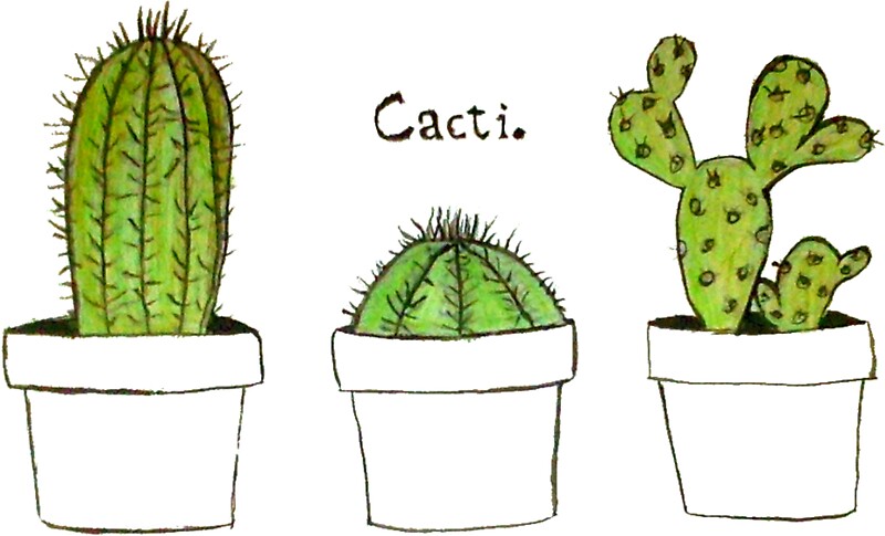 "Cactus" Stickers by Felicia Hägerström  Redbubble
