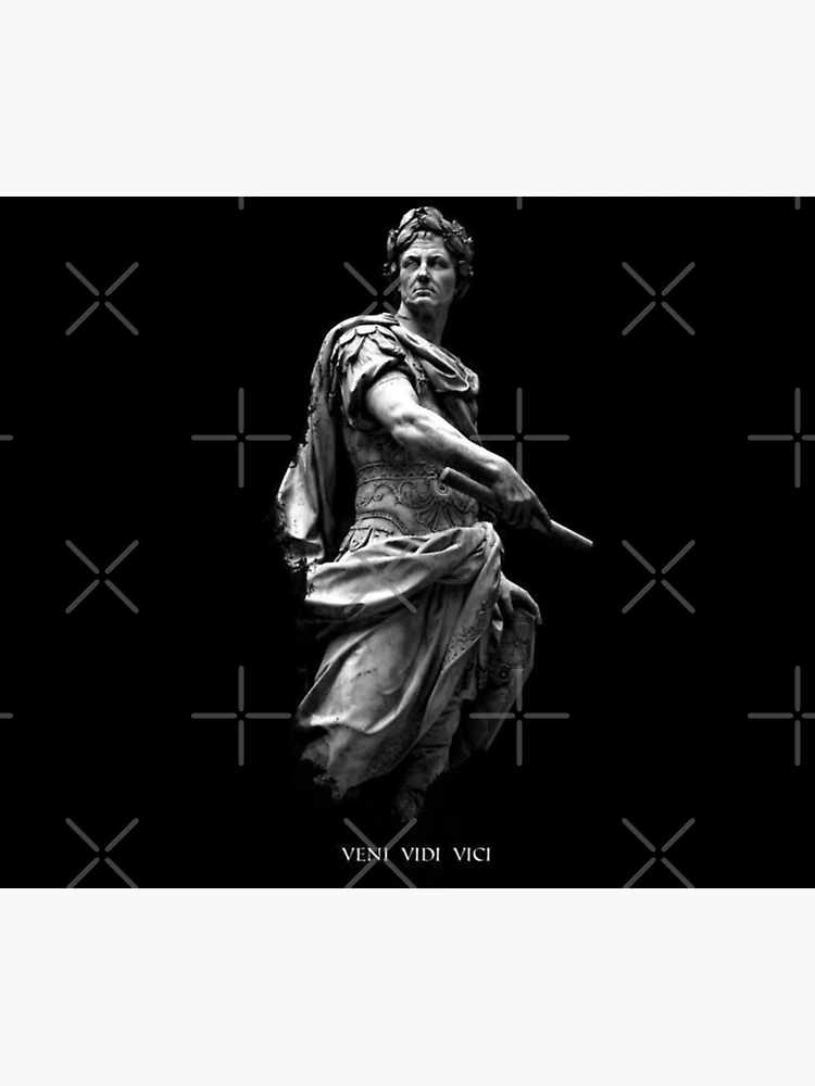 Veni vidi vici' Poster, picture, metal print, paint by Markus