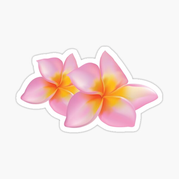 Sticker Frangipani Redbubble