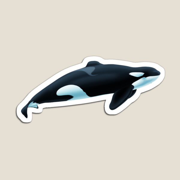 Orca AkuAページ Orca Aqua – Timeproshop