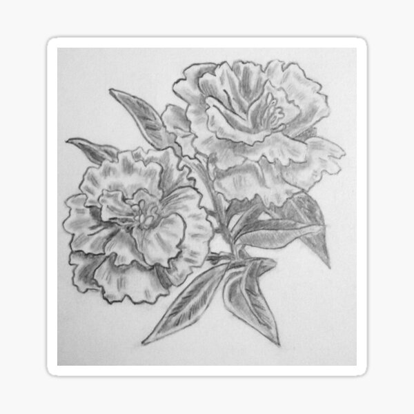 Carnation Sticker