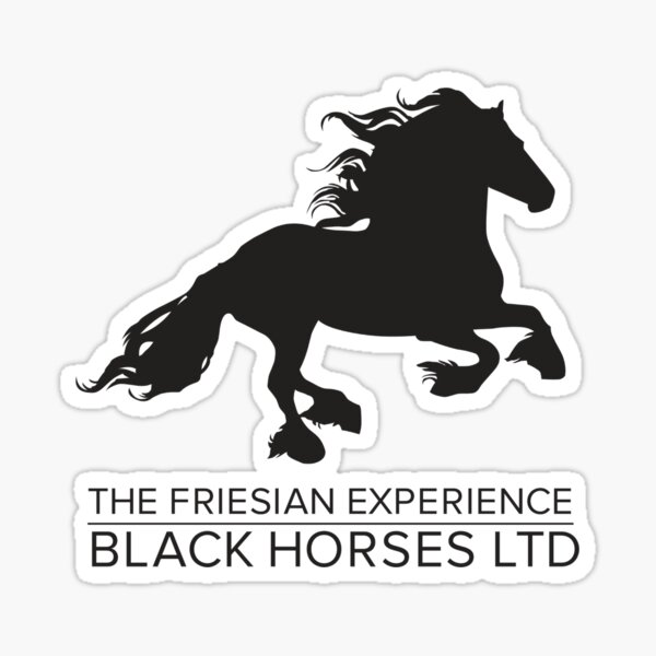The Friesian Experience - Beautiful Black Beauty Friesian Horses Sticker
