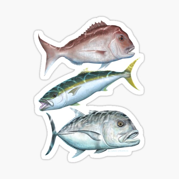 Buy Aquatic Addiction King Fish Fishing Decal Sticker Online at  desertcartSINGAPORE