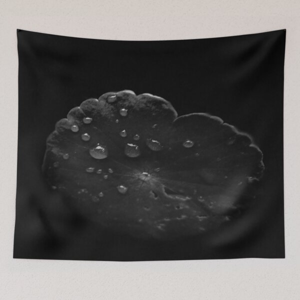 Item preview, After The Rain In Black And White During Lock Down  05/18/2020  18:29 designed and sold by Mark Polk.