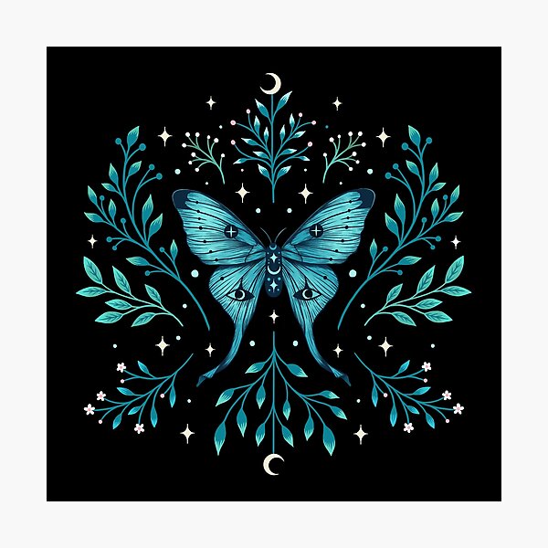 Art Print Home Decor Wall Art Poster F Blue Butterfly With Path Art Print Home Decor Wall Art Poster F Blue Butterfly With Path
