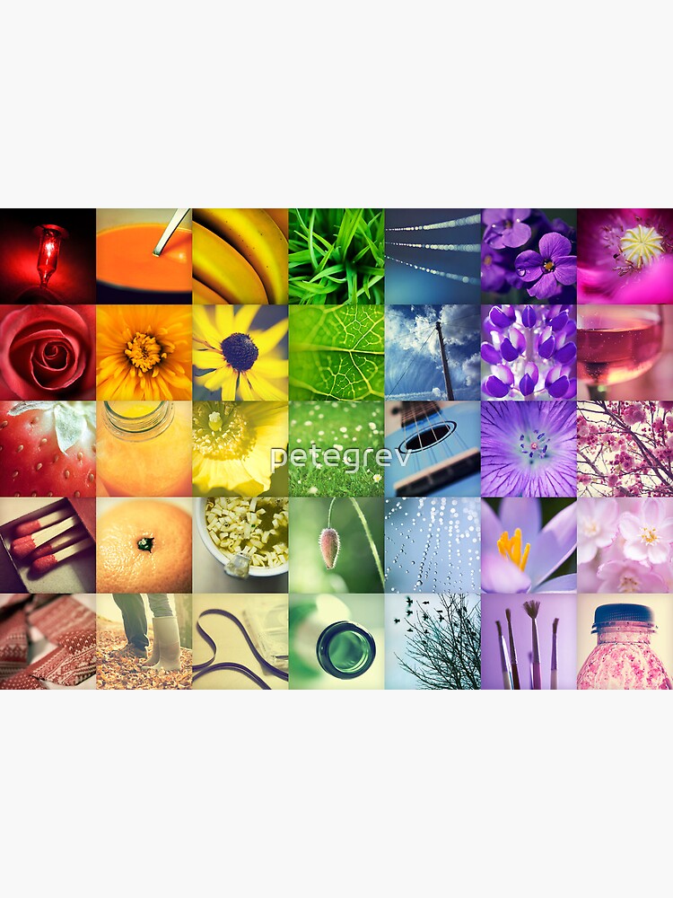 A Year of Colour by petegrev