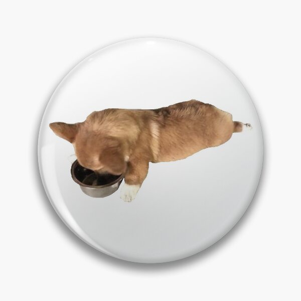 Item preview, Sleeping corgi designed and sold by zelscreations.