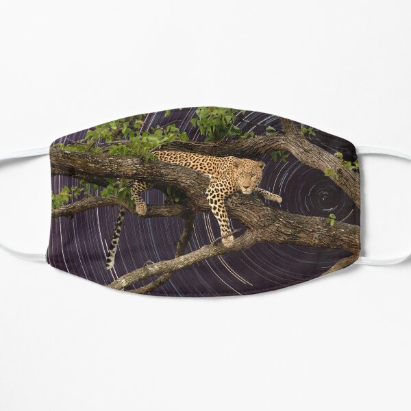 Leopard in tree with startrail Mask