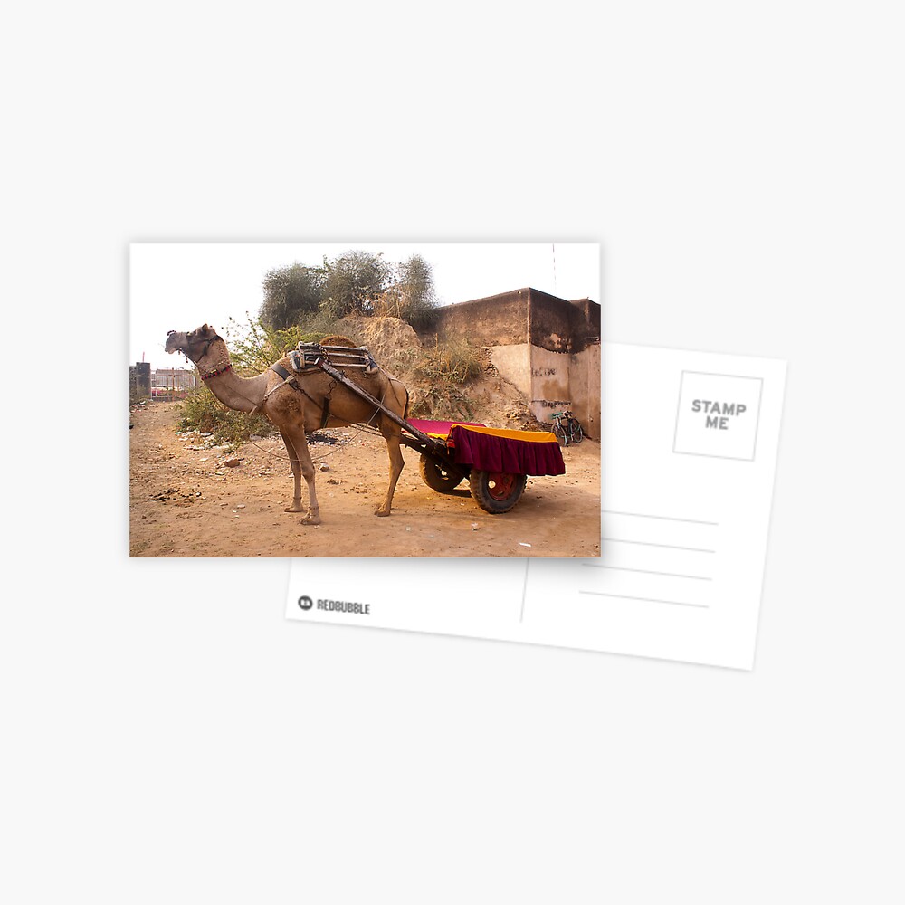 Life in the desert | Camel Cart | Desert Transportation | Easy Pencil  Drawing & Shading | Landscape