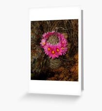 Perfect Pincushion Cacti Greeting Card