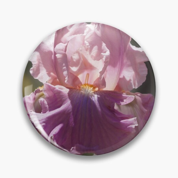 Item preview, Pink Sherbert Iris Flower designed and sold by MomentofPercep.