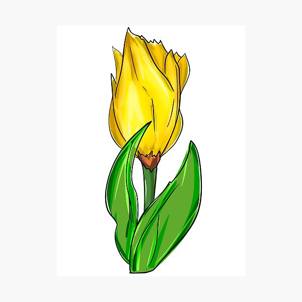 Item preview, Tulip designed and sold by alecoelho1.