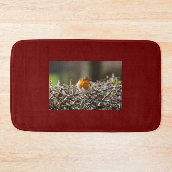 Item preview, Posing Robin  designed and sold by heidipics.