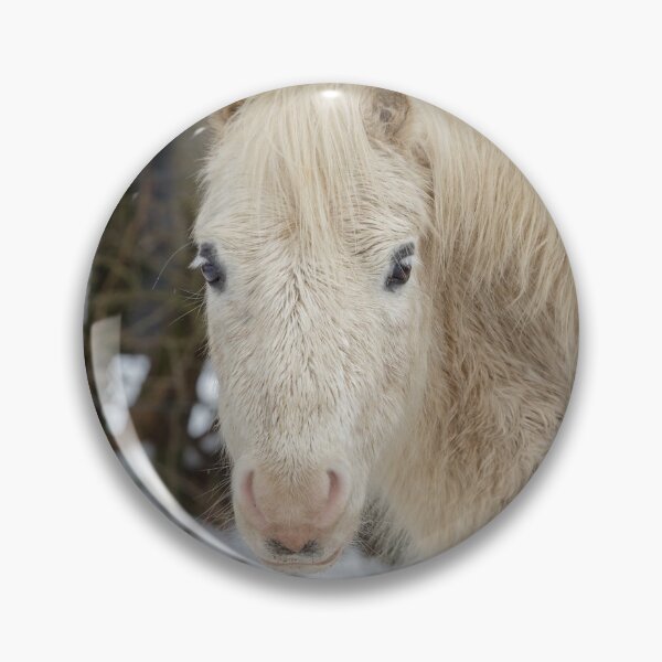 Artikelvorschau, Weißes Pferd entworfen und verkauft von heidipics.