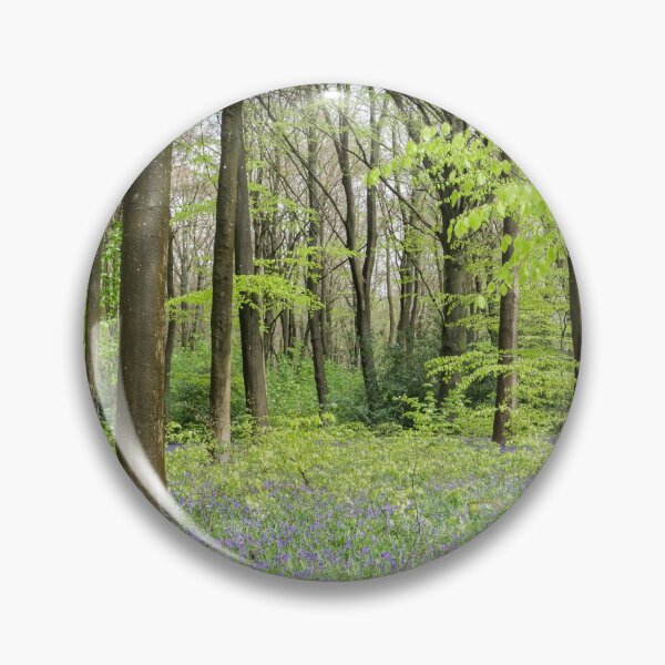 Artikelvorschau, Hampshire Bluebells entworfen und verkauft von heidipics.