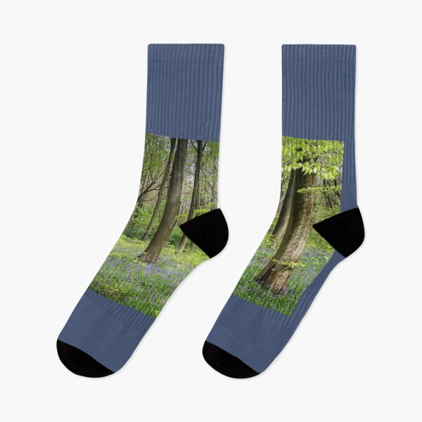 Item preview, Hampshire Bluebells designed and sold by heidipics.