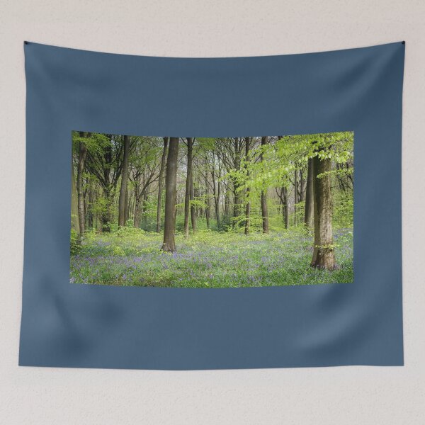 Item preview, Hampshire Bluebells designed and sold by heidipics.