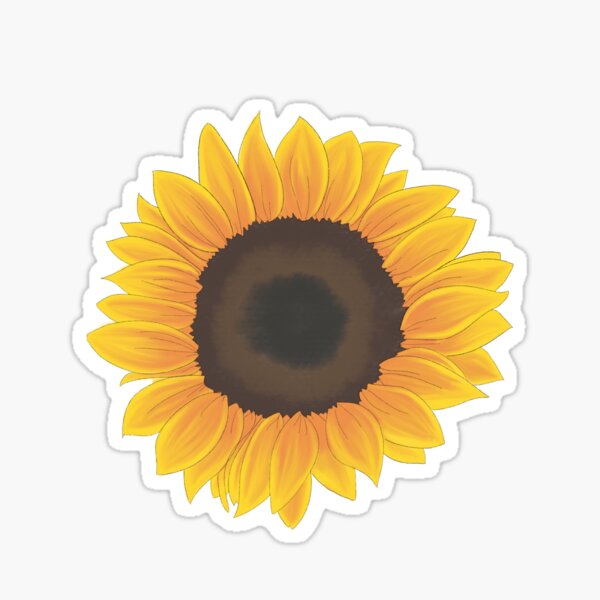 Tiny Daisy Doodles | Sticker