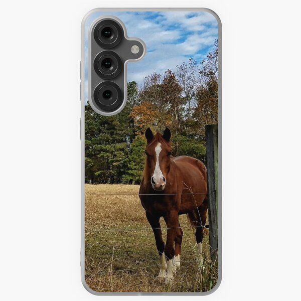 Aperçu de l'œuvre Curieux Quarter Horse Amigos créée et vendue par CrissyAnderson.