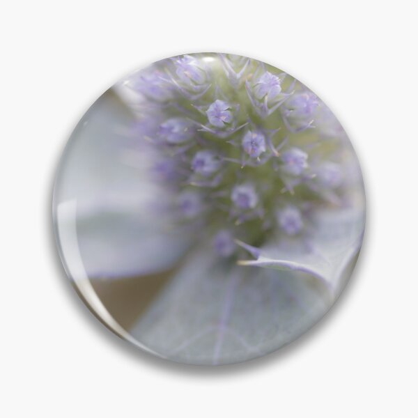 Artikelvorschau, Sea Holly Blume entworfen und verkauft von heidipics.
