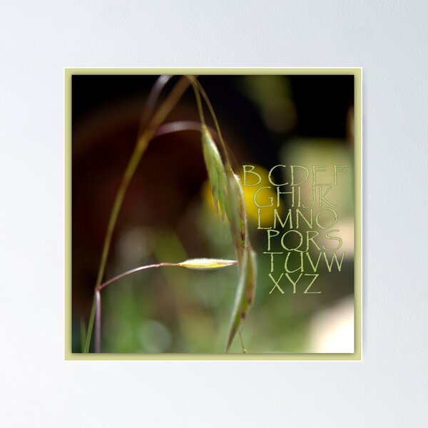 Item preview, THE ABC'S designed and sold by Betsy Seeton.