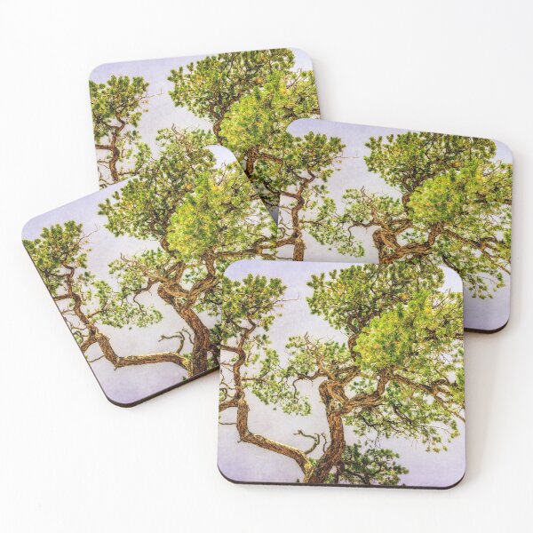 Item preview, Curly Pine designed and sold by LudaNayvelt.