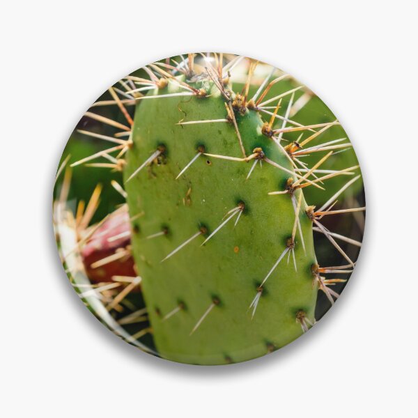 Item preview, Opuntia designed and sold by Thaddeus Zajdowicz.