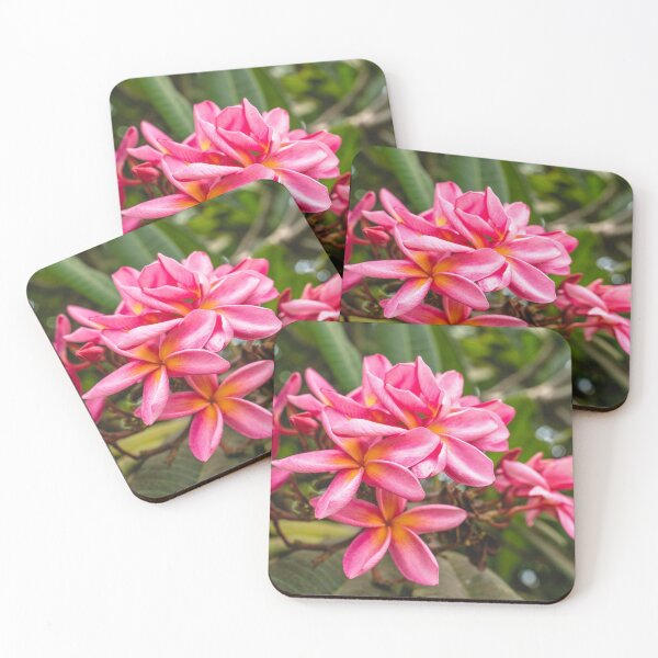 Item preview, Pink and Green?  designed and sold by SteveDollas.