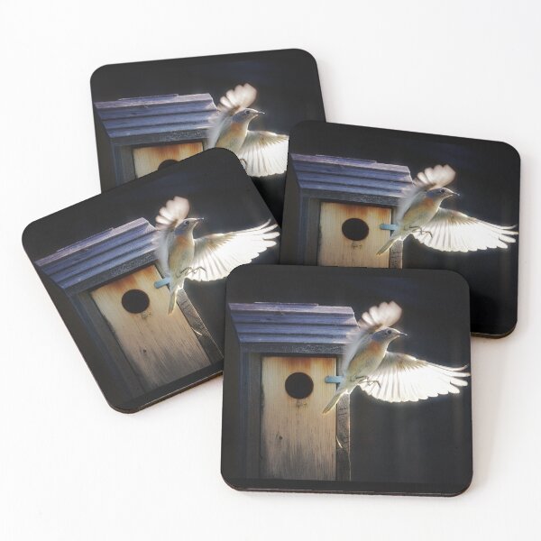 Item preview, Going For Nesting Material designed and sold by CarolM.