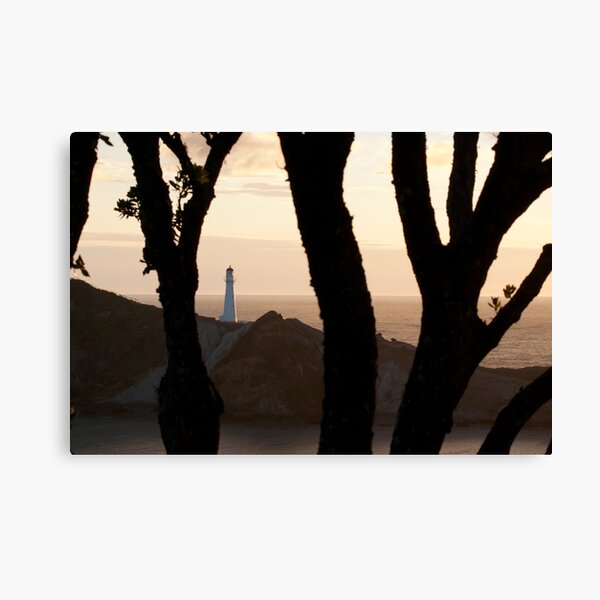 Lighthouse, through the pohutukawa Canvas Print