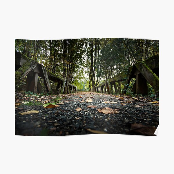 Moss Covered Bridge Poster