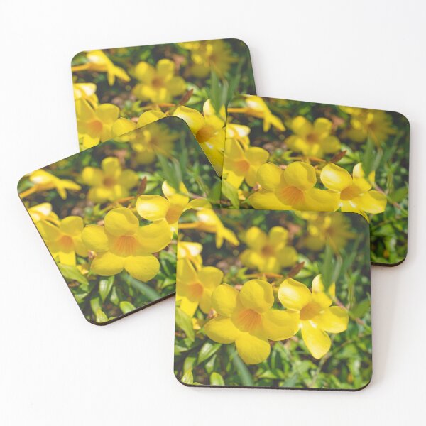 Item preview, Wild Wallflowers, just Wallflowering designed and sold by SteveDollas.