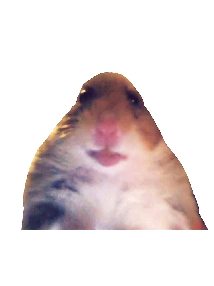 "hamster meme" Scarf by shelbylickliter | Redbubble
