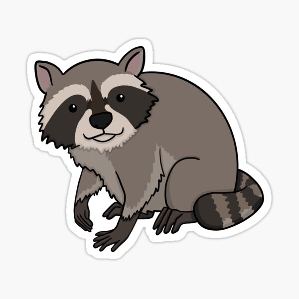 Nature Raccoon Cute | Funny Raccoon Sticker - Cute Raccoon Sticker -  Raccoon Decal, Cute Laptop Sticker, Window Sticker | Raccoon Rock Sign  Sticker