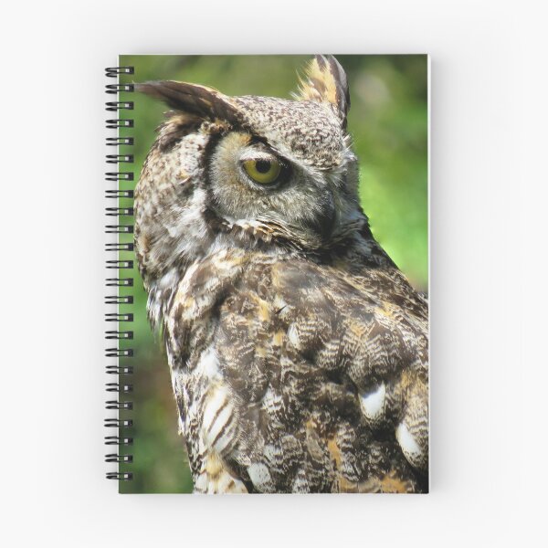 Item preview, Close up of a great horned owl  designed and sold by celinebisson.