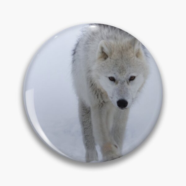 Item preview, Arctic wolf front facing designed and sold by celinebisson.