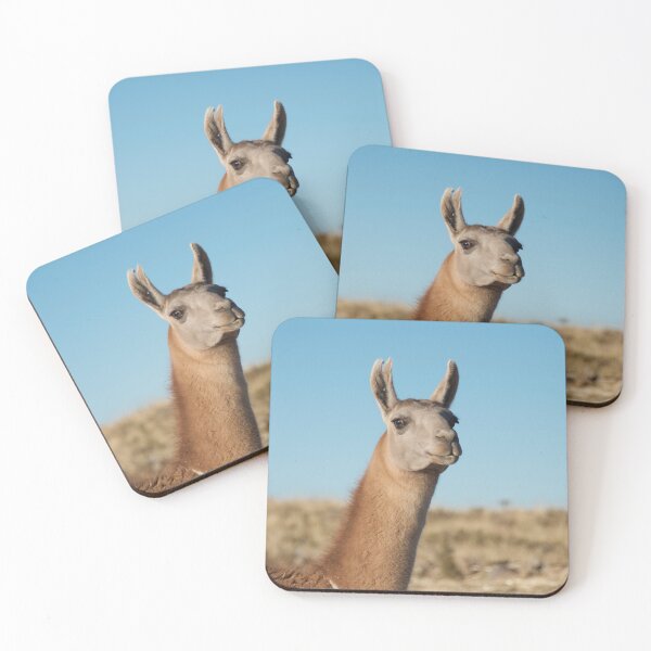 Item preview, Llama Llama designed and sold by polishalpaca.