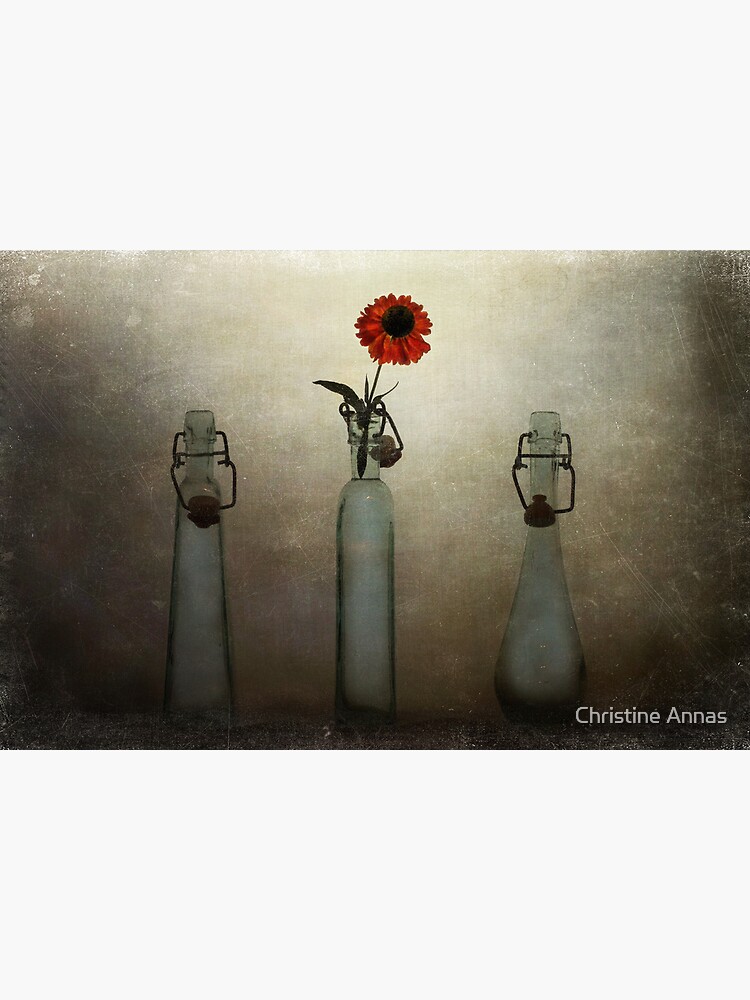 Let Your Inner Beauty Shine! by 2Bricks