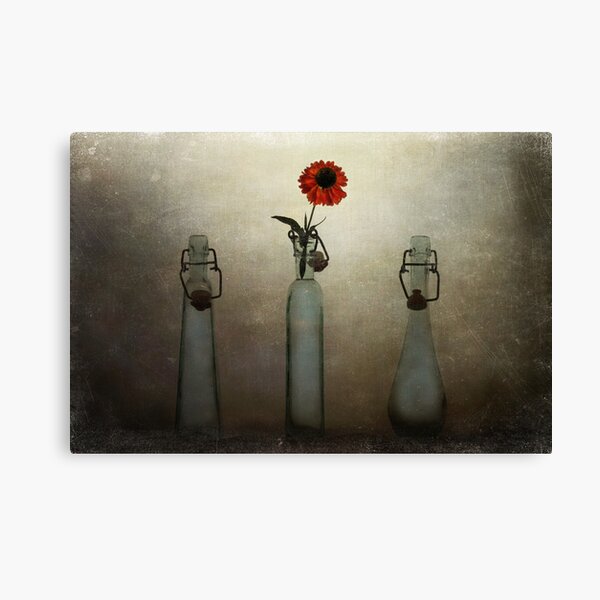 Let Your Inner Beauty Shine! Canvas Print