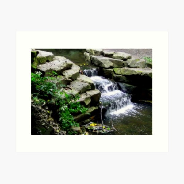 By the stream... Art Print