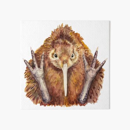 Sitting kiwi bird Art Board Print