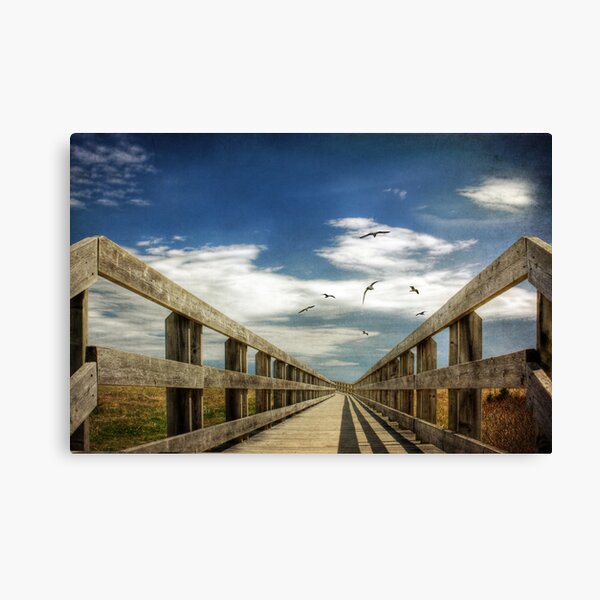 The Boarwalk Canvas Print