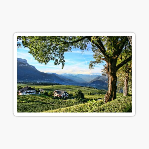 Item preview, Italian Vineyards designed and sold by Monica M. Winkler.