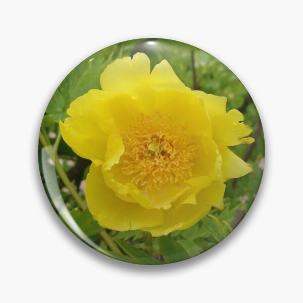 Item preview, Yellow flower on green designed and sold by LittleBettyMakes.