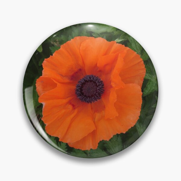 Item preview, Orange poppy closeup designed and sold by LittleBettyMakes.